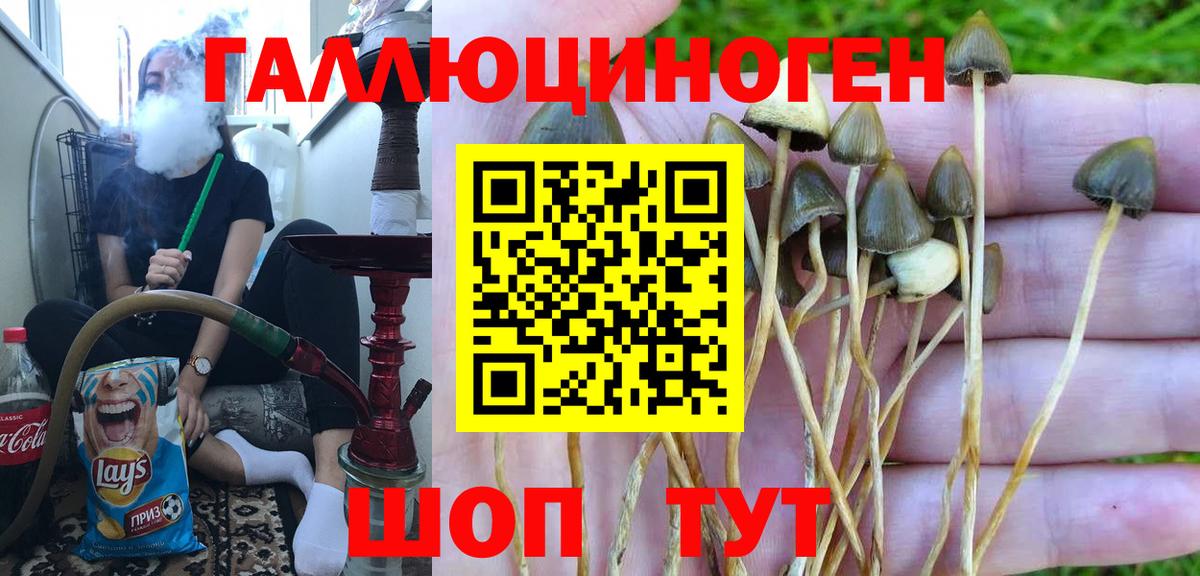 Галлюциногенные грибы Cubensis  Вход с VPN  Котлас 